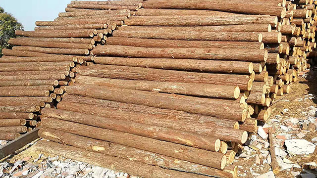 圓木樁規(guī)格 圓木樁規(guī)格