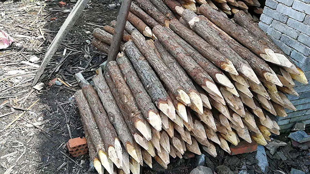 短木樁加工廠 短木樁加工廠