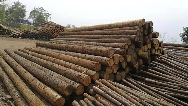 木樁規(guī)格 木樁規(guī)格