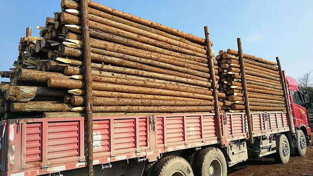 木樁采購 木樁采購