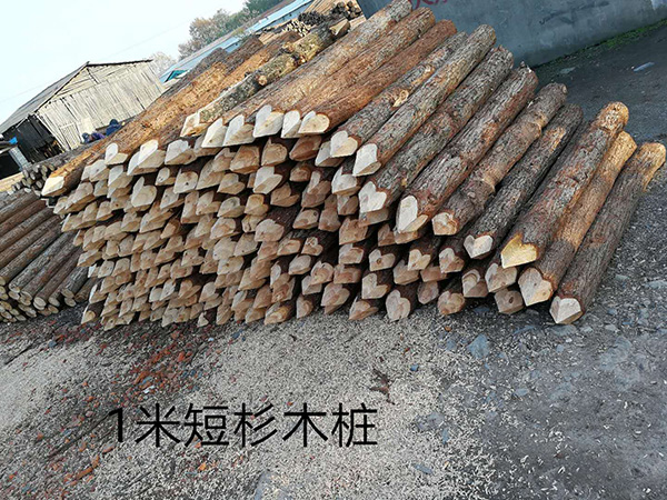 短木樁價(jià)格 短木樁價(jià)格
