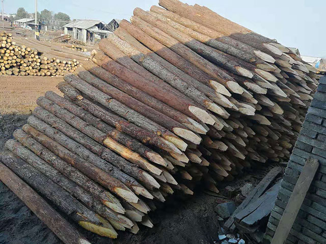樁木加工廠 樁木加工廠