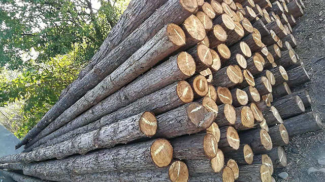 木樁長(zhǎng)度 木樁長(zhǎng)度