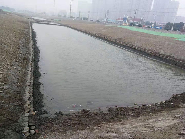 河道護(hù)坡木樁 河道護(hù)坡木樁