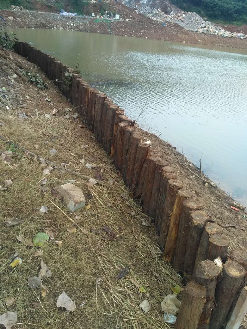 河道護(hù)坡木樁 河道護(hù)坡木樁